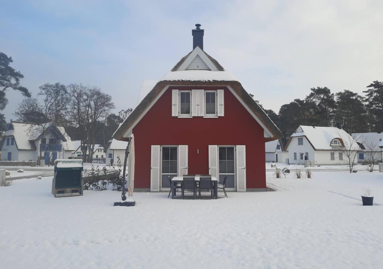 Modernes Reetdach-Ostseeferienhaus Bella Mare, Insel Usedom Mit Sauna, Kamin & Sonnenterrasse Zirchow Экстерьер фото